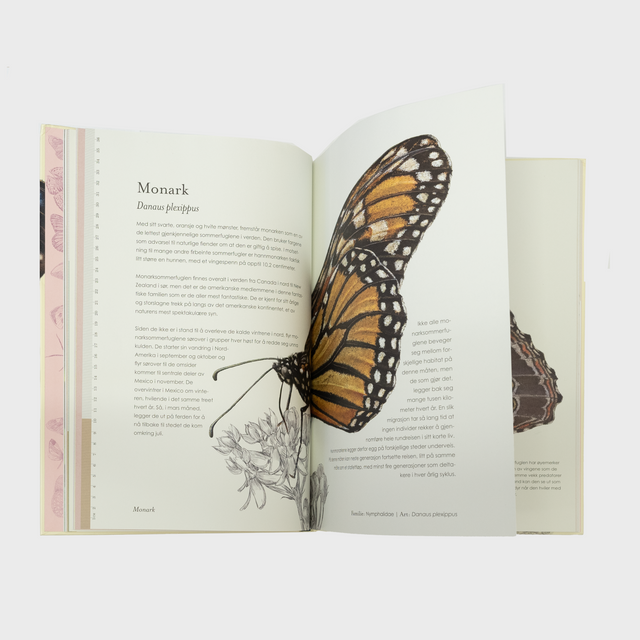 Fantastiske sommerfugler