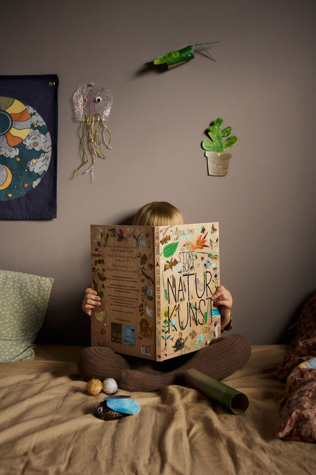 Den store boka om naturkunst