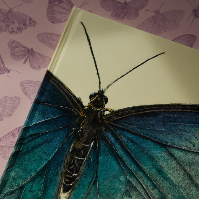 Fantastiske sommerfugler