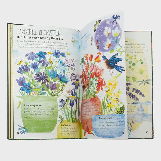 Den store boka om blomster